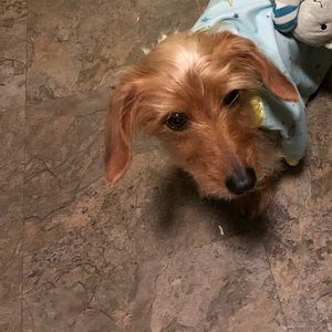 Meet your Posher, Cassondra